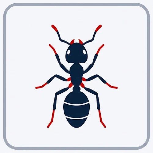 Ant Vector 500x500