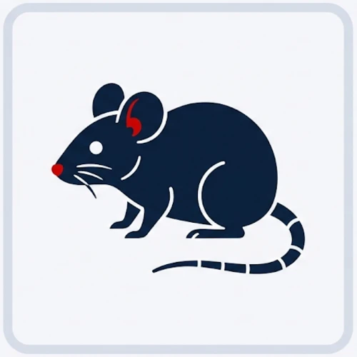 Mouse Vector 500x500
