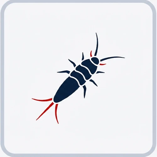 Silverfish Vector 500x500